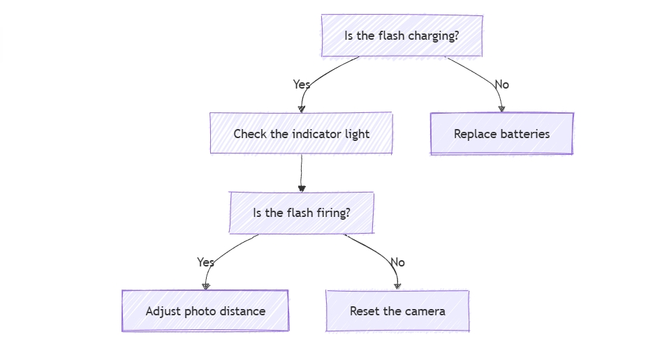 Lens and Flash Problems