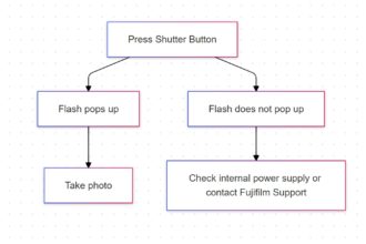 Testing the Flash Unit